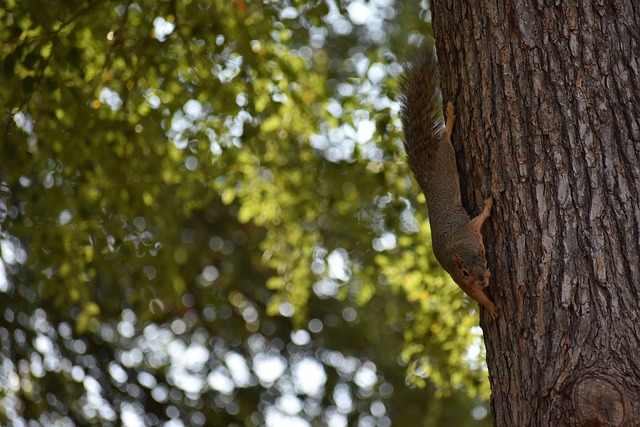 亚历山大不 亚历山大不